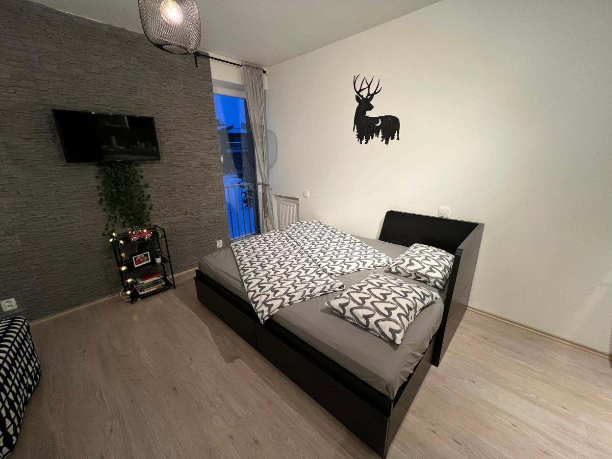 New Nelis Apartment Klinovec Loučná pod Klínovcem Εξωτερικό φωτογραφία