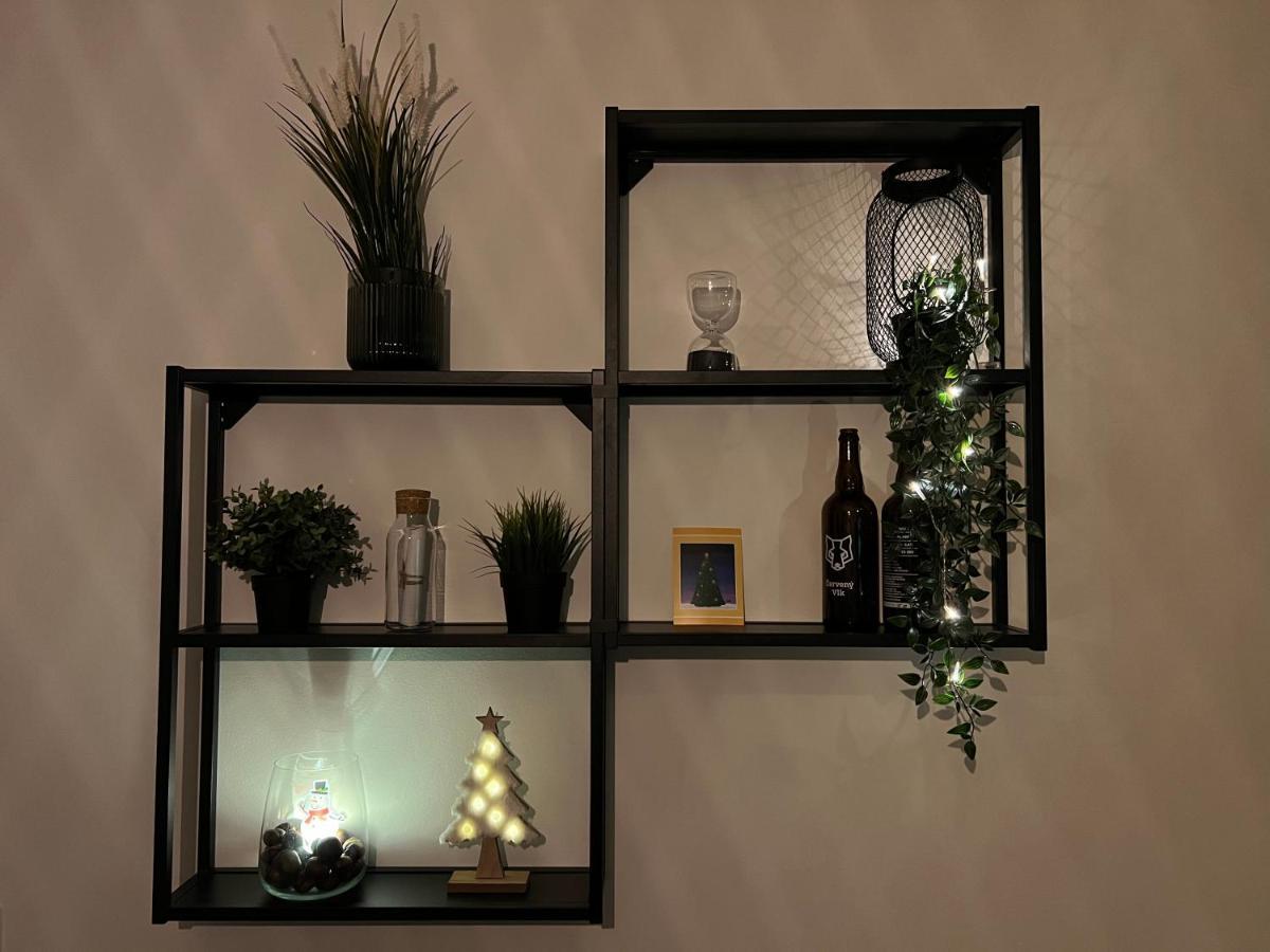 New Nelis Apartment Klinovec Loučná pod Klínovcem Εξωτερικό φωτογραφία